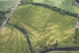 Oblique aerial view of the cropmarks at Balmakewan, looking NE.