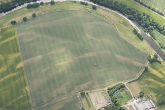 Oblique aerial view of the cropmarks at 'Montgomery's Knap', looking S.