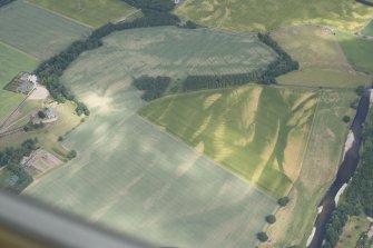 Oblique aerial view of the cropmarks at Balmakewan, looking NE.