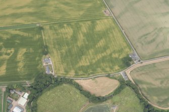 Oblique aerial view centred on the cropmarks at Ballownie, looking NW.