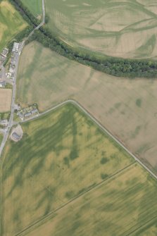 Oblique aerial view of the cropmarks at Inchbare, looking NNW.