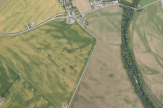 Oblique aerial view of the cropmarks at Inchbare and Smiddyhill, looking NW.