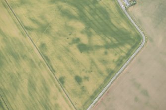 Oblique aerial view of the cropmarks at Inchbare South, looking W.
