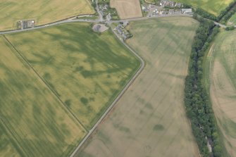 Oblique aerial view of the cropmarks at Inchbare, looking W.