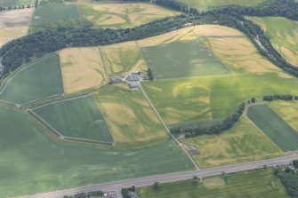 Oblique aerial view centred on the cropmarks of cultivation remains at Haugh of Finavon, looking S.