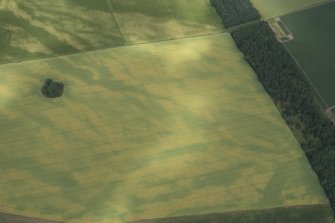 Oblique aerial view centred on the pit alignment at Battledykes, looking N.