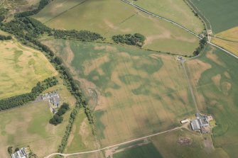 Oblique aerial view of the cropmarks at Marlefield, looking east.