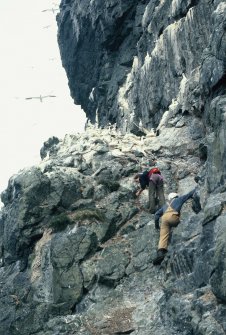 P Moore and R Simpson, first gannets, Stac Lee.