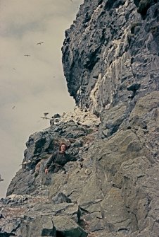  E Kinnel below first gannets, Stac Lee.