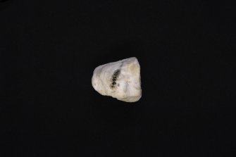 Unworked marble fragment