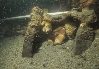 An edible crab (Cancer pagurus) finds a convenient lair in the upturned wooden carriage (DP00/013) of the Duart Point ship’s Gun 8 (DP00/203). (Colin Martin)