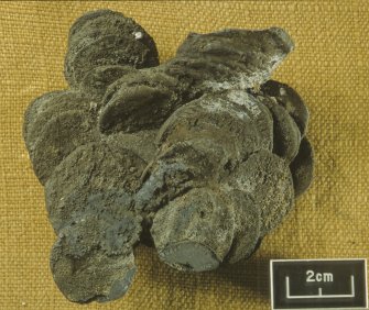 Another part of the concreted hoard of silver coins (DP92/DG03) recovered by the Dumfries and Galloway Sub-Aqua Club in 1992. Fabric impressions on the surface of the concretion suggest that they had been contained in a cloth bag. Scale 5 centimetres. (Colin Martin)