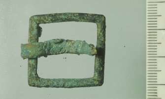 Brass buckle (DP92/062) recovered in 1992. Scale in millimetres. (Colin Martin)