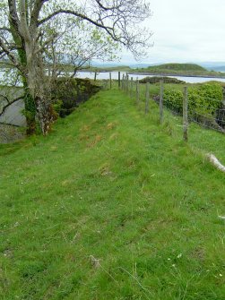 The levelled causeway leading from the quarry, looking towards the NW corner of the main kiln building. (Paula Martin)