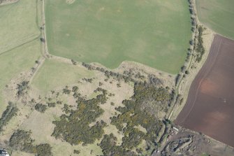 Oblique aerial view of Wormit Hill Inner Landward Defences, looking ENE.