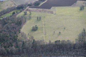 Oblique aerial view of the site of Delvine Golf Course and Inchtuthil, looking SW.