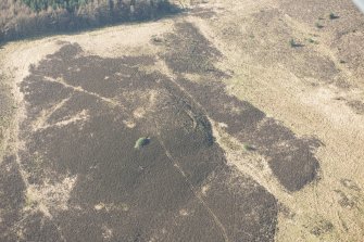 Oblique aerial view of the site of enclosure, pillboxes and trenches, looking SW.