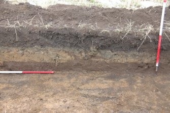 Image from Archaeological Evaluation at North Meadows Industrial Estate