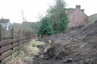 View South of East side of garden.