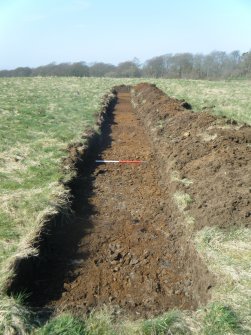 View of Trench 2