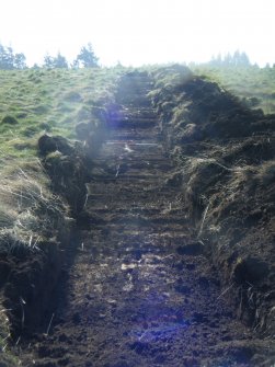 View of Trench 6