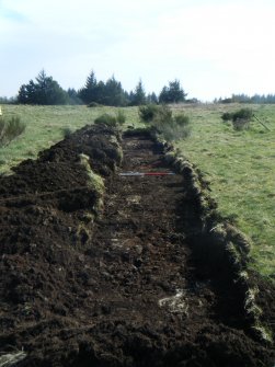 View of Trench 11