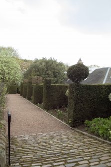 View of garden in Dunbar's Close, 137 Canongate, Edinburgh, from S.