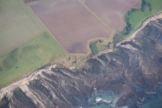 Oblique aerial view of the soilmarks at Randerston Castle, looking WSW.