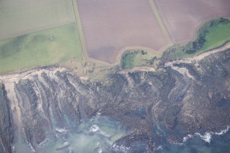 Oblique aerial view of the soilmarks at Randerston Castle, looking SW.