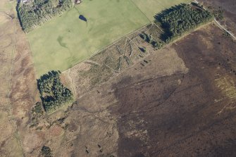 Oblique aerial view of Drumashie Moor cairns and bank, looking NE.