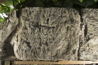 View of cross slab built into South wall of graveyard (including scale)