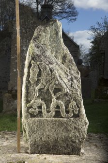 View of slab with carved pictish symbols (flash including scale)