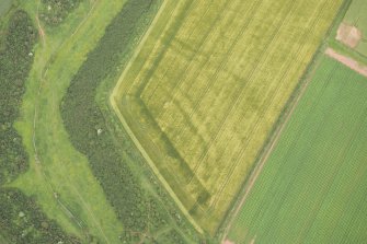 Oblique aerial view of the cropmarks of the fort, looking NNW.