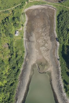 Oblique aerial view of the fish trap, looking NNW.