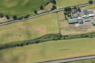 Oblique aerial view of the cropmarks of the fort at Wester Carmuirs, looking SSW.