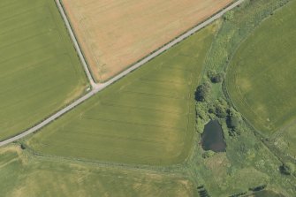 Oblique aerial view of the cropmarks of the round house and souterrain, looking E.