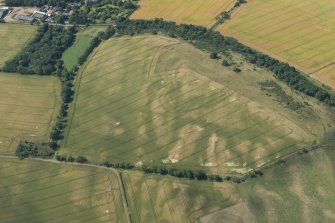 Oblique aerial view of the cropmarks of the forts, looking WNW.