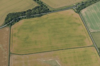 Oblique aerial view of the cropmarks of the settlement, looking NNW.