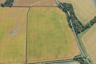 Oblique aerial view of the cropmarks of the settlement, looking WSW.