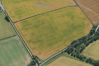 Oblique aerial view of the cropmarks of the settlement, looking S.