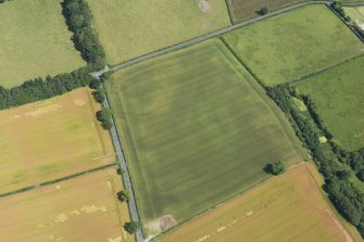 Oblique aerial view of the cropmarks of the enclosure, looking ENE.