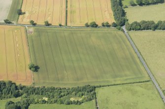 Oblique aerial view of the cropmarks of the enclosure, looking NNW.