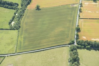 Oblique aerial view of the cropmarks of the enclosure, looking WSW.