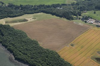 Oblique aerial view of the cropmarks of the rig and the possible plantation enclosure with Midhope Castle and farm beyond, looking SE.