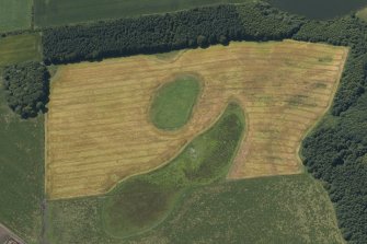 Oblique aerial view of the cropmarks of the enclosure and field boundary, looking WSW.