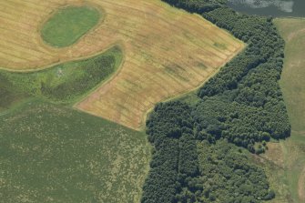 Oblique aerial view of the cropmarks of the enclosure and field boundary, looking SW.