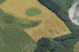 Oblique aerial view of the cropmarks of the enclosure and field boundary, looking SSW.