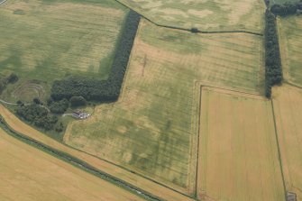 Oblique aerial view of the cropmarks of the rig with the Cash Mill earthwork adjacent, looking SSE.
