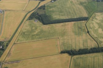 Oblique aerial view of the cropmarks of the rig with the Cash Mill earthwork adjacent, looking ENE.