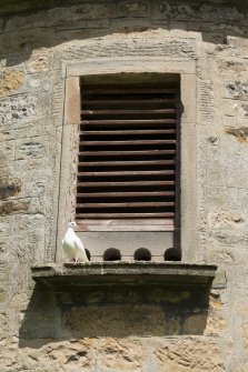 Detail of pigeon holes and vent above south entrance.